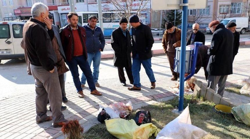 Yozgat&rsquo;ta Yılbaşı Hindileri Satışa &Ccedil;ıktı