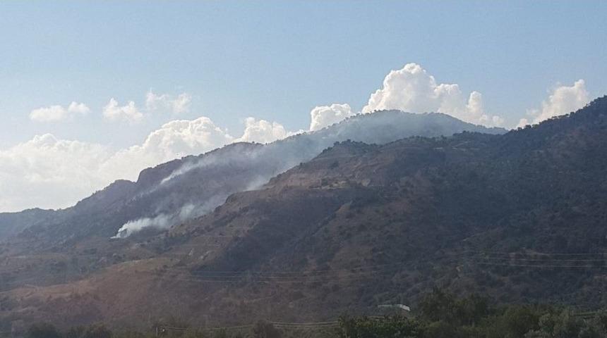 Aydın&rsquo;da Orman Yangını
