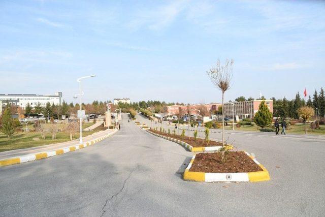 Adıyaman Üniversitesi Merkez Külliyesi Yol Genişletme Çalışmalarında Sona Gelindi