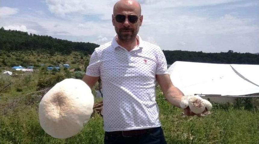 K&uuml;tahya&rsquo;da 2 Kilo Ağırlığında Dev Mantar