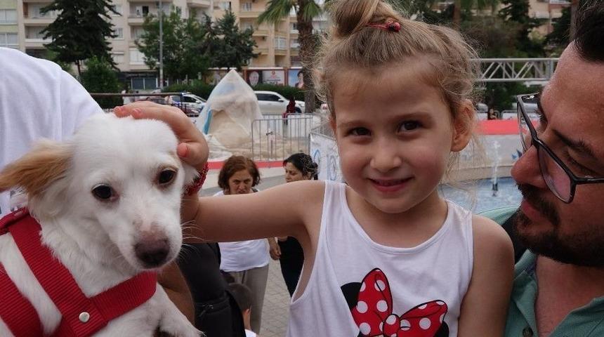 Patileri Kesilerek Katledilen K&ouml;pek İ&ccedil;in Hayvanseverlerden Eylem