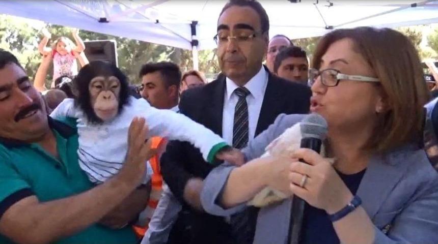 Fatma Şahin, Maymun Can&rsquo;ın Hışmına Uğradı