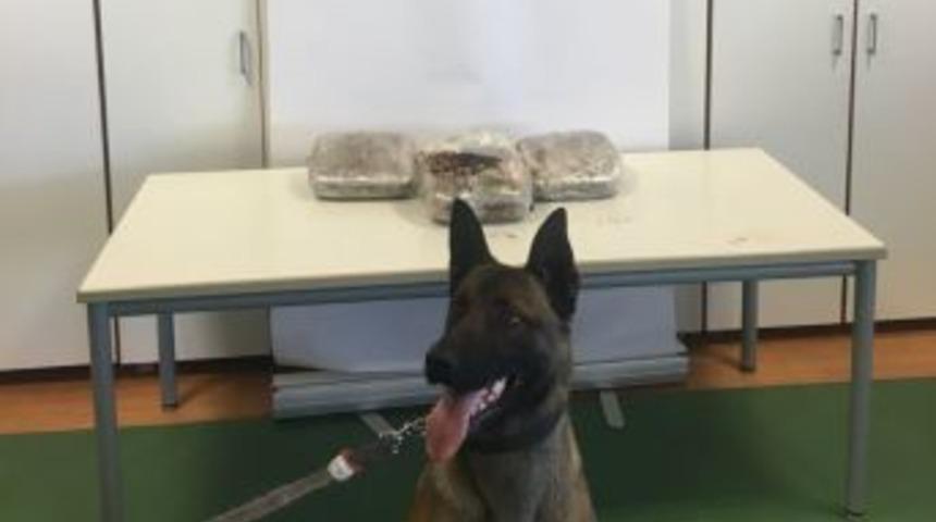 Kamyonette 5 Kilo 750 Gram Toz Esrar Ele Ge&ccedil;irildi