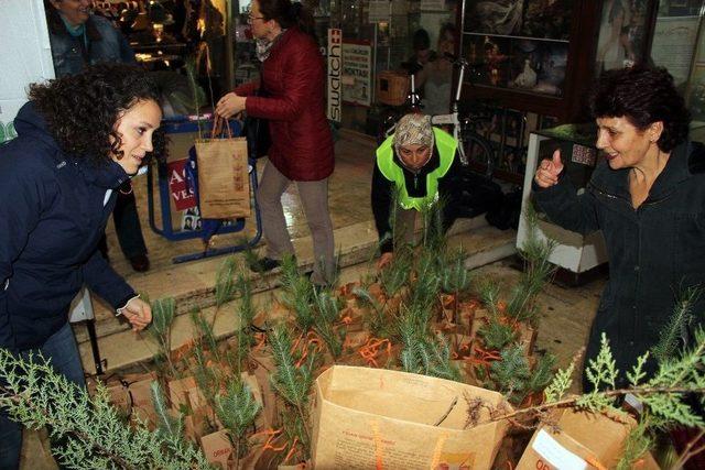 Muğla Ve Aydın’da 20 Bin Fidan Dağıtıldı