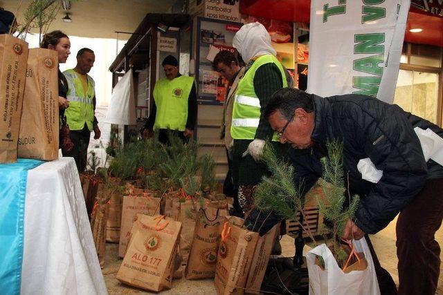 Muğla Ve Aydın’da 20 Bin Fidan Dağıtıldı