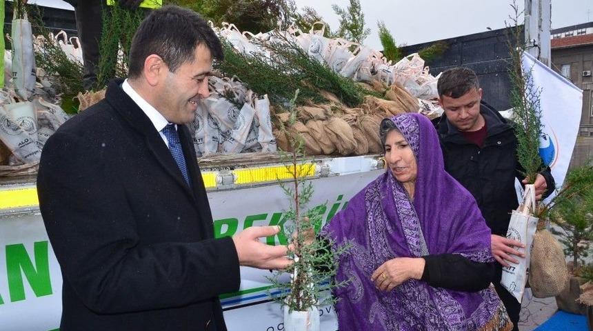 Balıkesir Orman B&ouml;lge M&uuml;d&uuml;rl&uuml;ğ&uuml; &Uuml;cretsiz Fidan Dağıttı