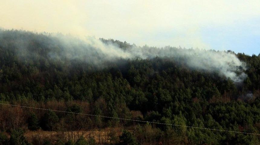 Samsun&rsquo;da Orman Yangını
