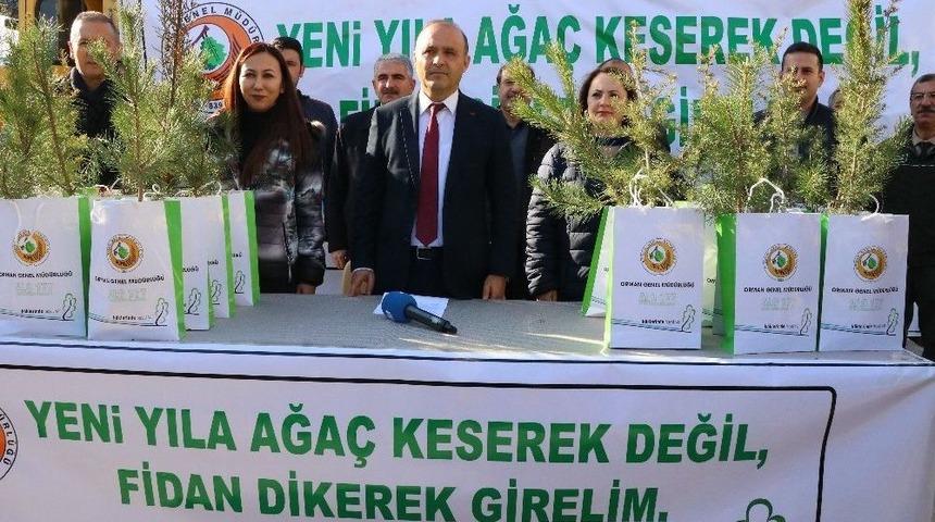 Yeni Yıl &Ouml;ncesi &Uuml;cretsiz &Ccedil;am Fidanı Dağıtıldı