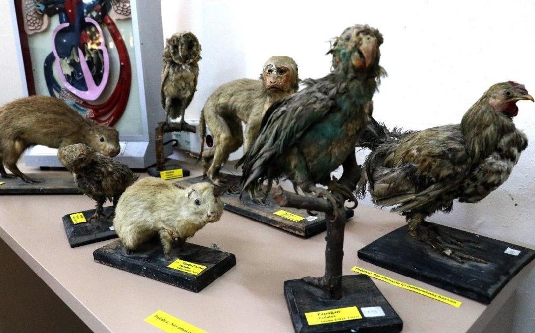 Adana&rsquo;nın Eğitim Tarihi Bu M&uuml;zede