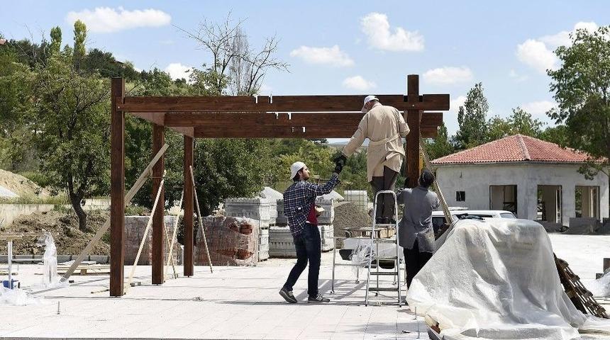 Mamak&rsquo;ta &Uuml;reğil Kent Ormanı