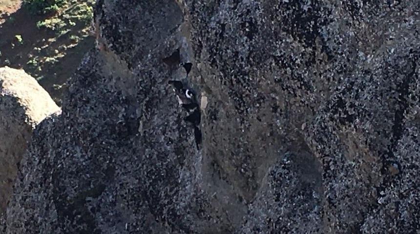 Kayalıklarda Kalan Ke&ccedil;ileri İtfaiye Ekibi Kurtardı