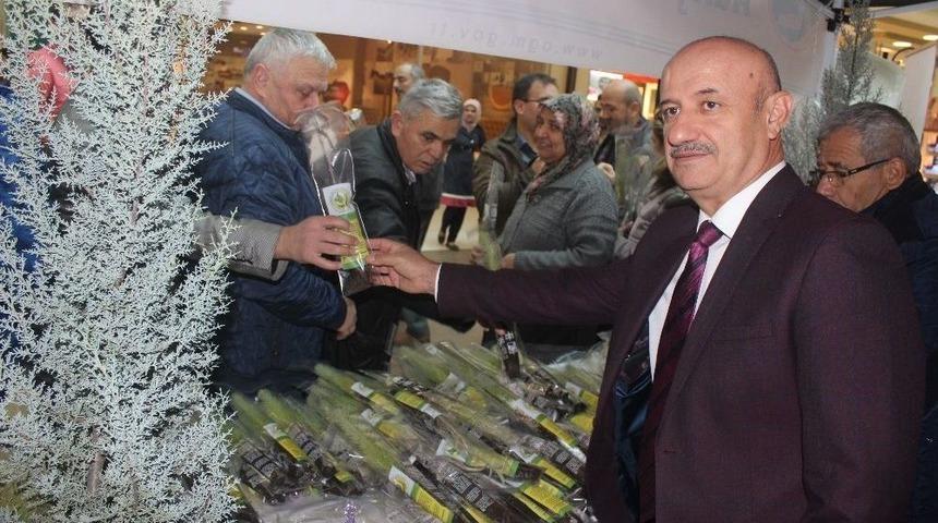 Denizli Orman B&ouml;lge M&uuml;d&uuml;rl&uuml;ğ&uuml;&rsquo;nden &rsquo;ağa&ccedil; Kesme Fidan Dik&rsquo; Etkinliği