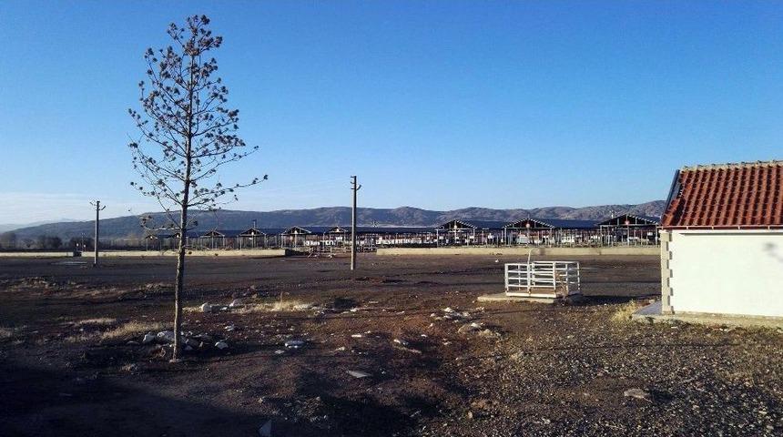 T&uuml;rkiye&rsquo;nin En B&uuml;y&uuml;k Hayvan Pazarında Şap Karantinası