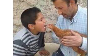 Ağzındaki Yem İle Tavuğu Besleyen Küçük Çocuğun Görüntüsü Büyük Beğeni Kazandı
