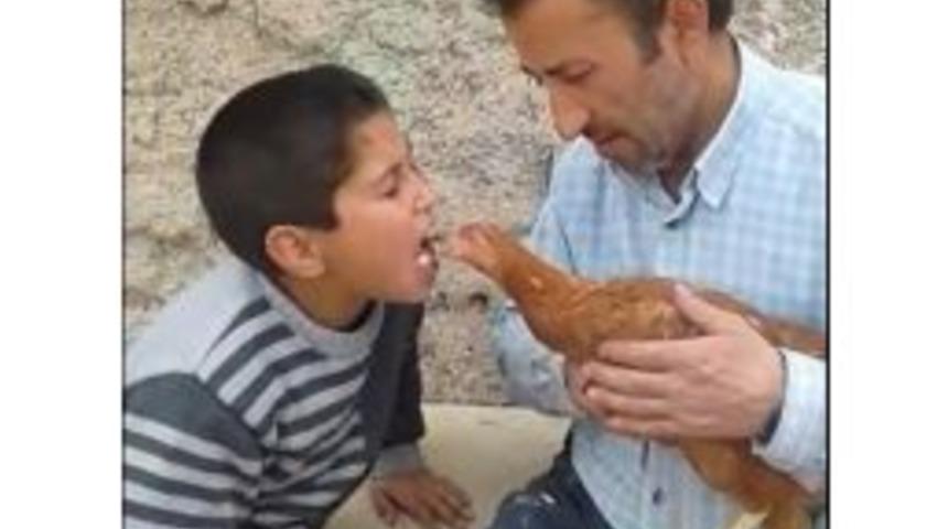 Ağzındaki Yem İle Tavuğu Besleyen Küçük Çocuğun Görüntüsü Büyük Beğeni Kazandı