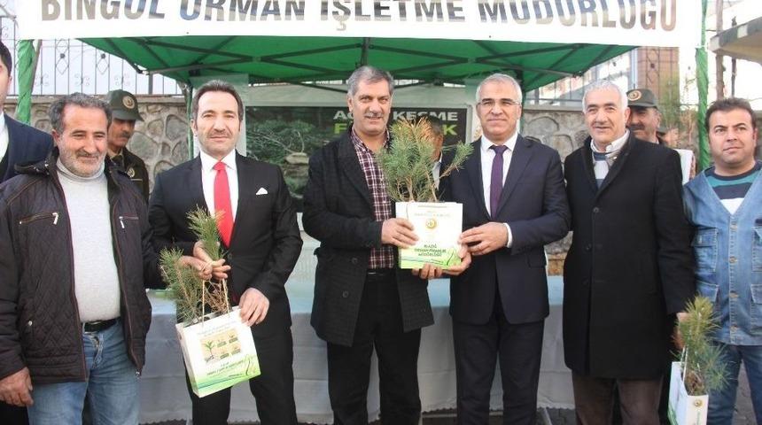 Bing&ouml;l&rsquo;de &lsquo;ağa&ccedil; Kesme, Fidan Dik&rsquo; Kampanyası