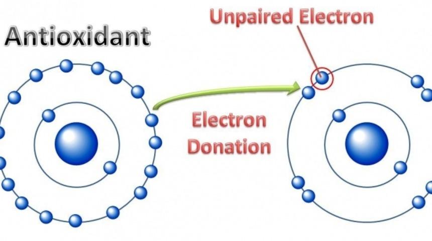 E Vitamininin Faydaları Nelerdir?
