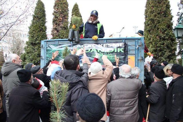 Eskişehir’de 10 Bin Fidan Dağıtıldı