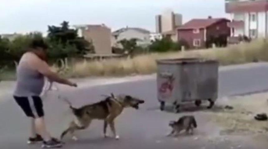 &Ccedil;ocukların G&ouml;z&uuml; &Ouml;n&uuml;nde Vahşet