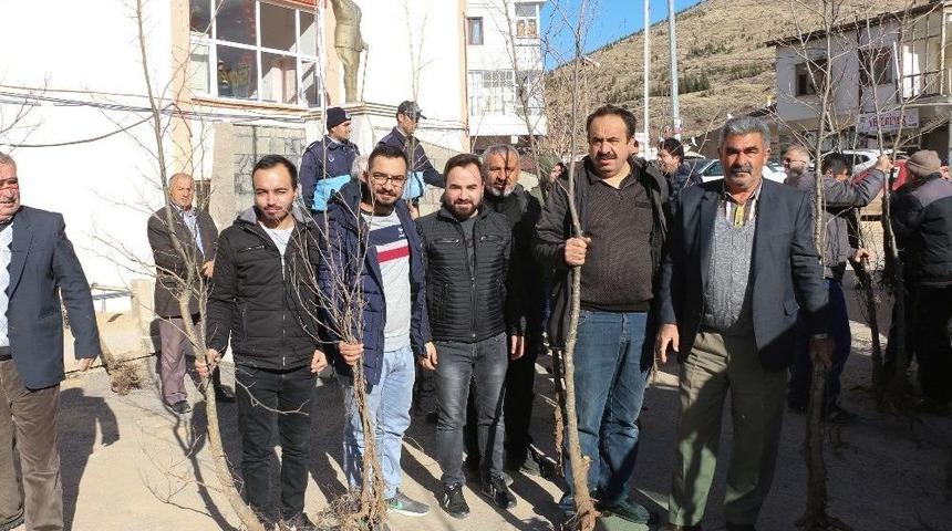 Yahyalı&rsquo;da Bin Adet &Ccedil;ınar Fidanı Dağıtıldı