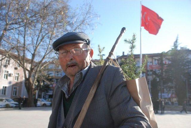 ’yılbaşında Çam Kesme Fidan Dik’ Kampanyasına Yoğun İlgi