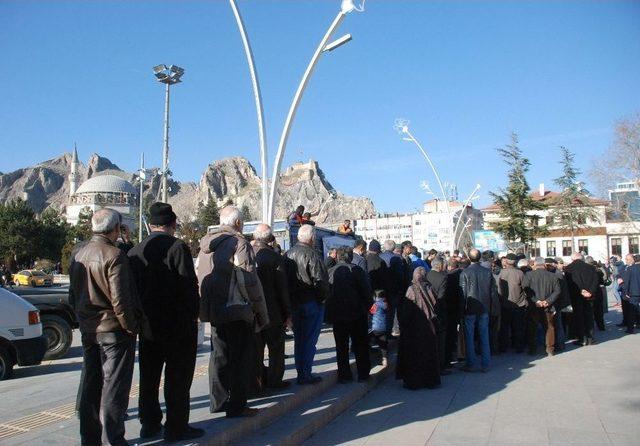 ’yılbaşında Çam Kesme Fidan Dik’ Kampanyasına Yoğun İlgi