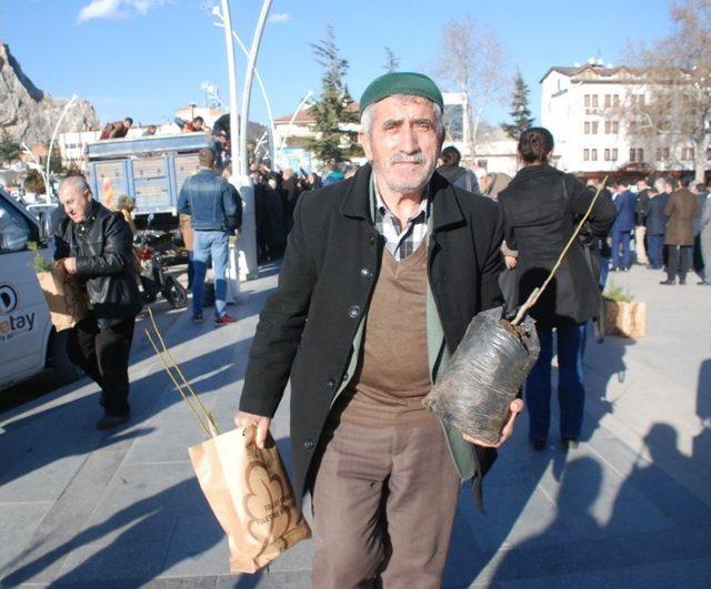 ’yılbaşında Çam Kesme Fidan Dik’ Kampanyasına Yoğun İlgi