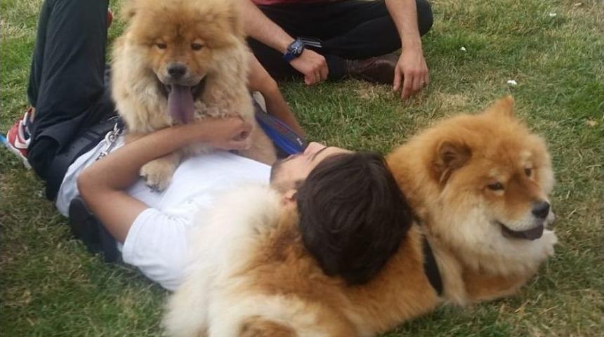 Taksim&rsquo;de &ldquo;&ccedil;in Aslanı&rdquo; Cinsi K&ouml;peklere Vatandaşlardan B&uuml;y&uuml;k İlgi