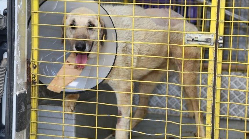 Aracın &Ccedil;arptığı Meke&rsquo;ye Yardım Eli Uzandı