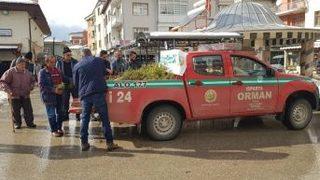 Şarkikaraağaç’ta ağaç Kesme, Fidan Dik Kampanyası
