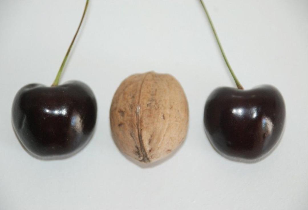 Ceviz B&uuml;y&uuml;kl&uuml;ğ&uuml;nde Kiraz