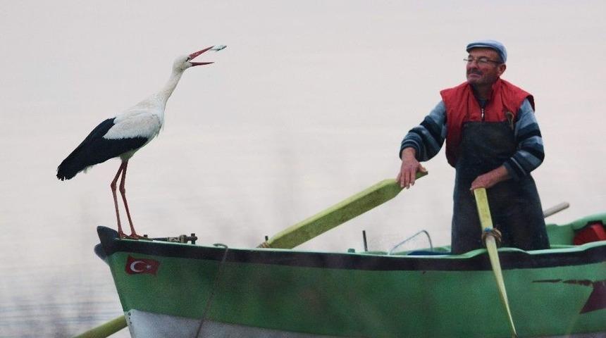 Adem Amca Ve Yaren Leylek&rsquo;in İlgin&ccedil; Hikayesi Sergiye Konu Oldu