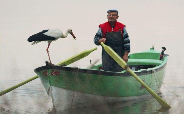 Adem Amca Ve Yaren Leylek’in İlginç Hikayesi Sergiye Konu Oldu