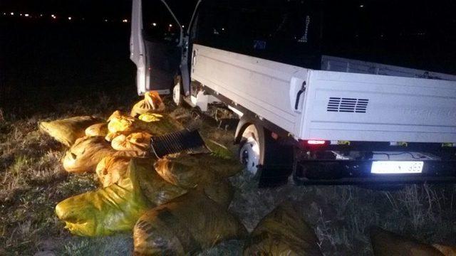 Muradiye’de 4 Ton Kaçak Balık Ele Geçirildi