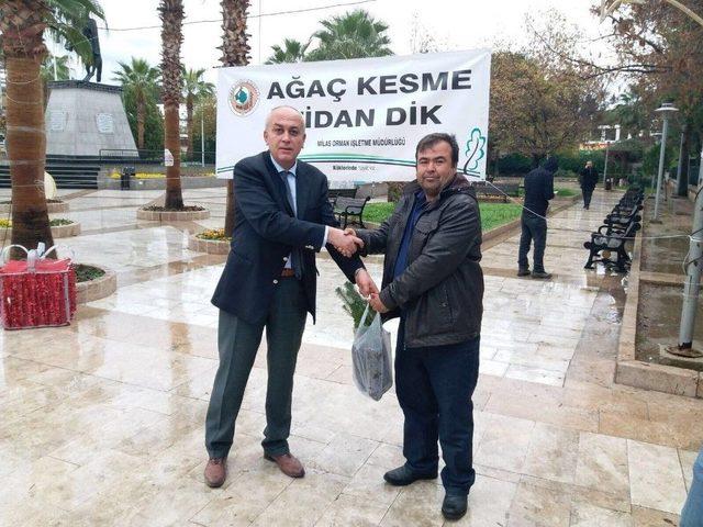 Yeni Yıla Fidan Dikerek Girecekler