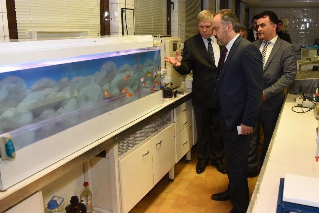 Bursalılar Artık Kuyu Suyu Yerine Baraj Suyu İ&ccedil;iyor