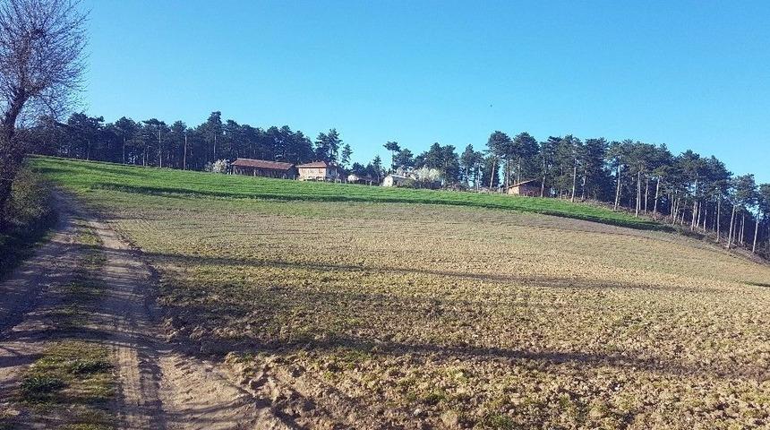 Yan Yana Olan 3 Evin Farklı Mahalleye Bağlı Olması Şaşırtıyor