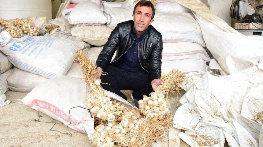 İpekyolu Belediyesinden &Ccedil;ift&ccedil;ilere Destek