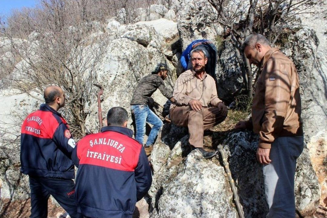 6 G&uuml;nd&uuml;r Kayalıklara Sıkışan Avcı K&ouml;peği Kurtarılmayı Bekliyor