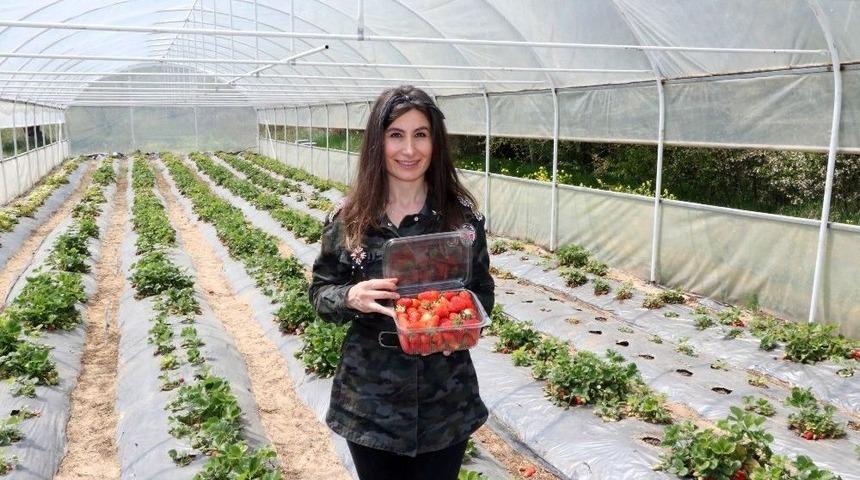 Köy Hayatını Şehir Hayatına Tercih Etti, Ürünleri Pazara Götürmeden Tükeniyor