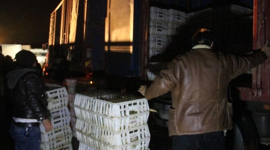 Devrilen Kamyondaki Tavukların Bir Kısmı Telef Oldu