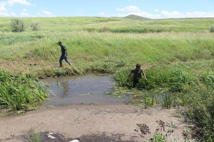 Ağrı, 3 Gündür Kaybolan Leyla’yı Arıyor G5