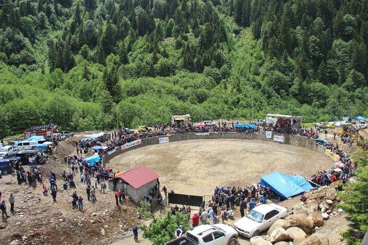 Rize’de Boğalar Kıyasıya Yarıştı G5