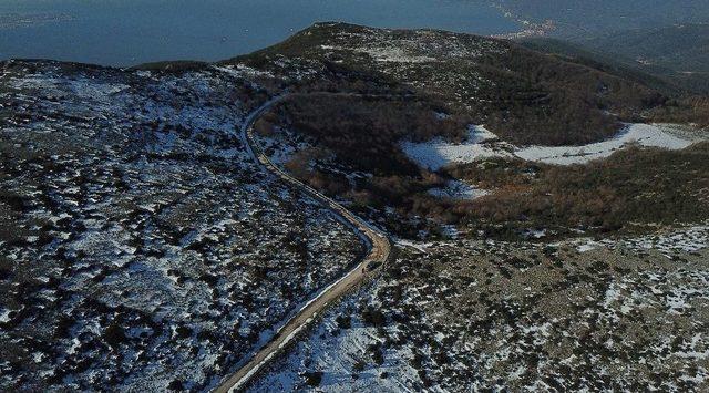 Gemlik&rsquo;e Yeni Orman 2