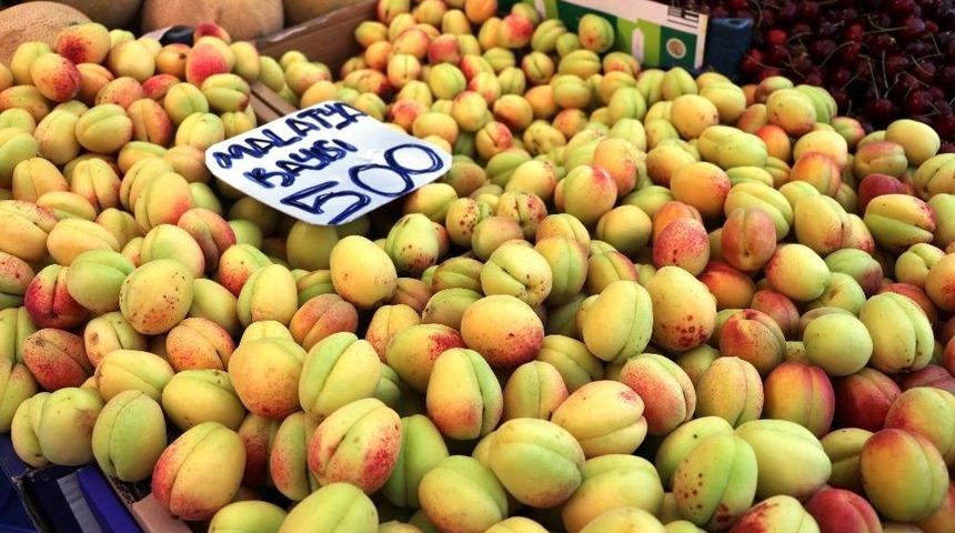 Yaş Kayısıya Yoğun İlgi