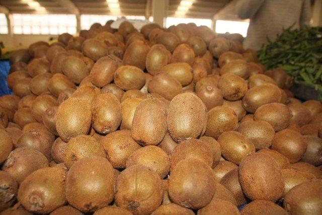 Bahar Yorgunluğuna Karşı Kivi 1