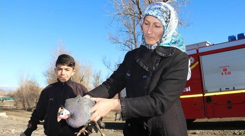 Oltu &Ccedil;ayına D&uuml;şen Tavuğu İtfaiye Yardımıyla Kurtardılar