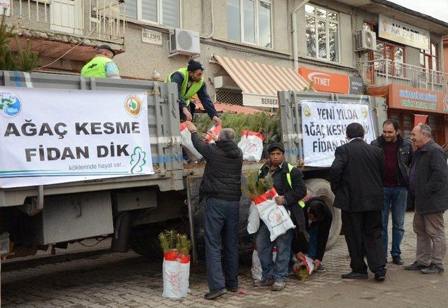 Seyitgazi’de Fidan Dağıtımı Yapıldı