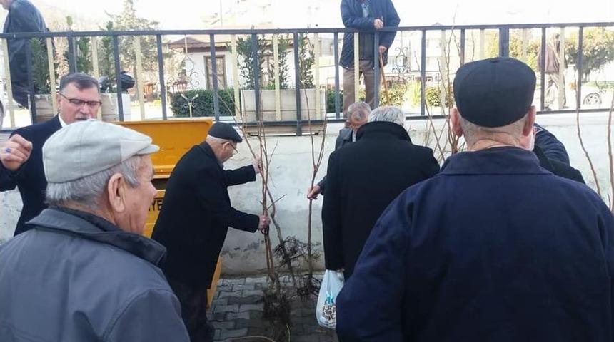 Vezirhan Belediyesi Tarafından &Uuml;cretsiz Hurma Dağıtıldı