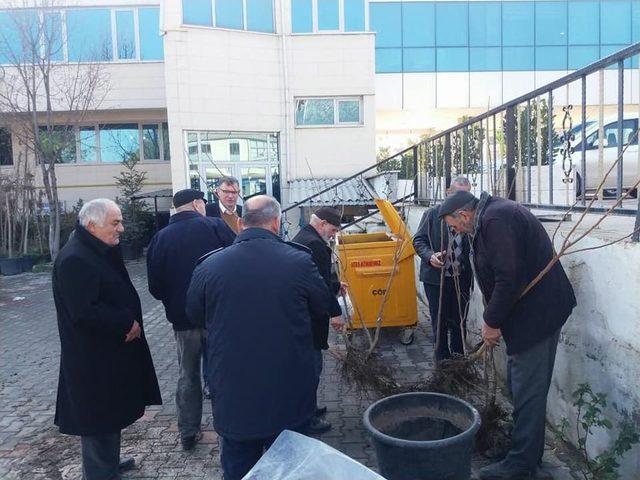 Vezirhan Belediyesi Tarafından Ücretsiz Hurma Dağıtıldı